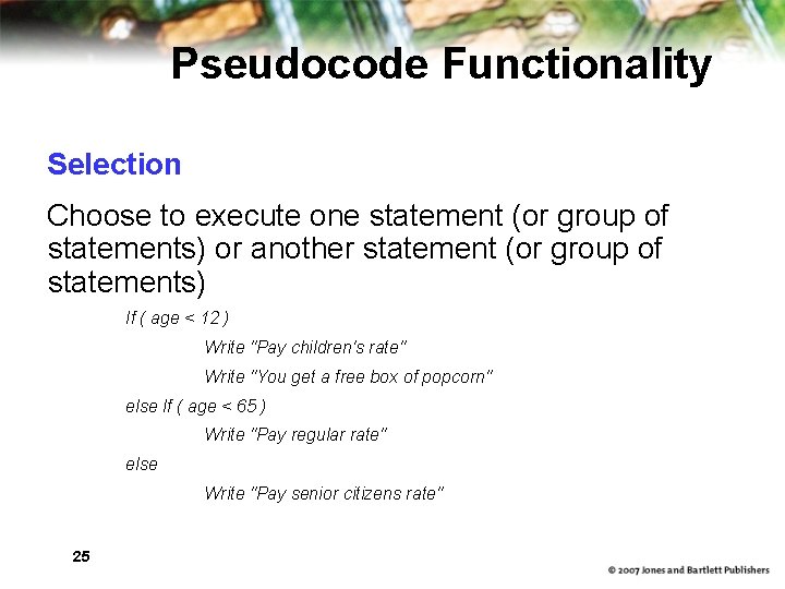 Pseudocode Functionality Selection Choose to execute one statement (or group of statements) or another