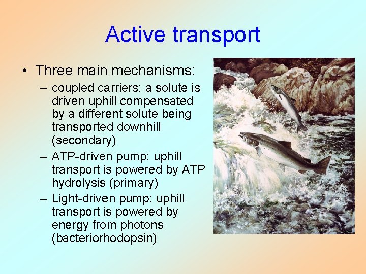 Active transport • Three main mechanisms: – coupled carriers: a solute is driven uphill Active transport • Three main mechanisms: – coupled carriers: a solute is driven uphill