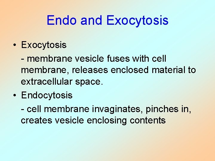 Endo and Exocytosis • Exocytosis - membrane vesicle fuses with cell membrane, releases enclosed