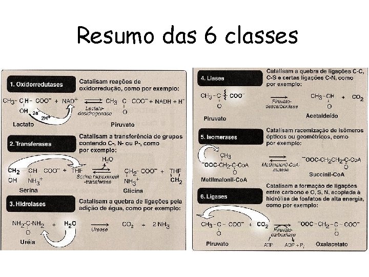 Resumo das 6 classes 