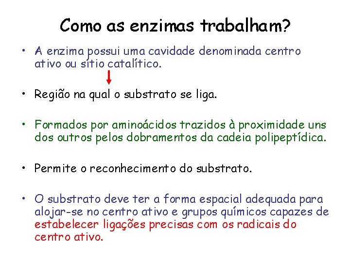 Como as enzimas trabalham? • A enzima possui uma cavidade denominada centro ativo ou