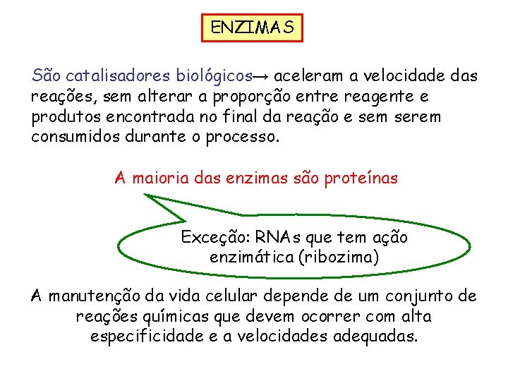 ENZIMAS São catalisadores biológicos→ aceleram a velocidade das reações, sem alterar a proporção entre