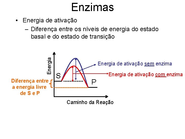 Enzimas Energia • Energia de ativação – Diferença entre os níveis de energia do