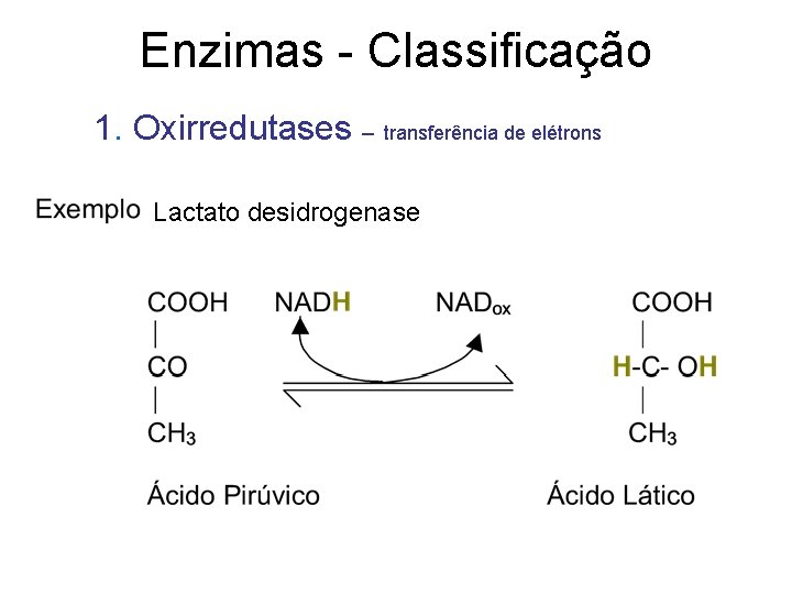 Enzimas - Classificação 1. Oxirredutases – transferência de elétrons Lactato desidrogenase 