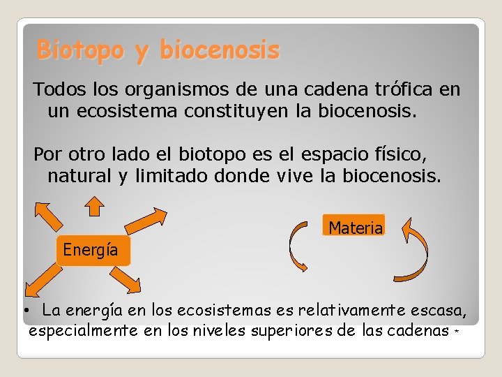 Biotopo y biocenosis Todos los organismos de una cadena trófica en un ecosistema constituyen