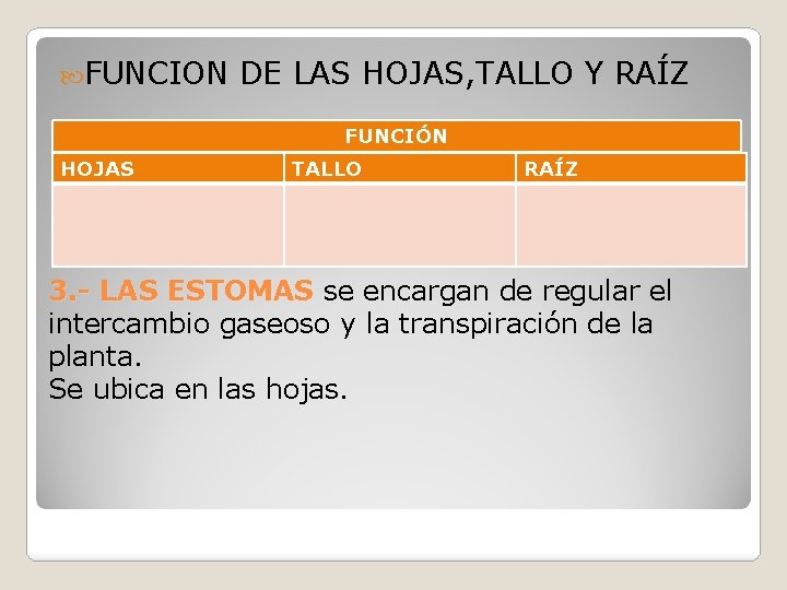  FUNCION DE LAS HOJAS, TALLO Y RAÍZ FUNCIÓN HOJAS TALLO RAÍZ 3. -