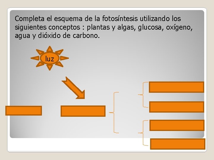 Completa el esquema de la fotosíntesis utilizando los siguientes conceptos : plantas y algas,