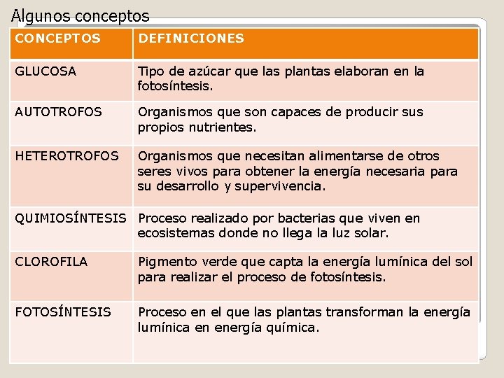 Algunos conceptos CONCEPTOS DEFINICIONES GLUCOSA Tipo de azúcar que las plantas elaboran en la