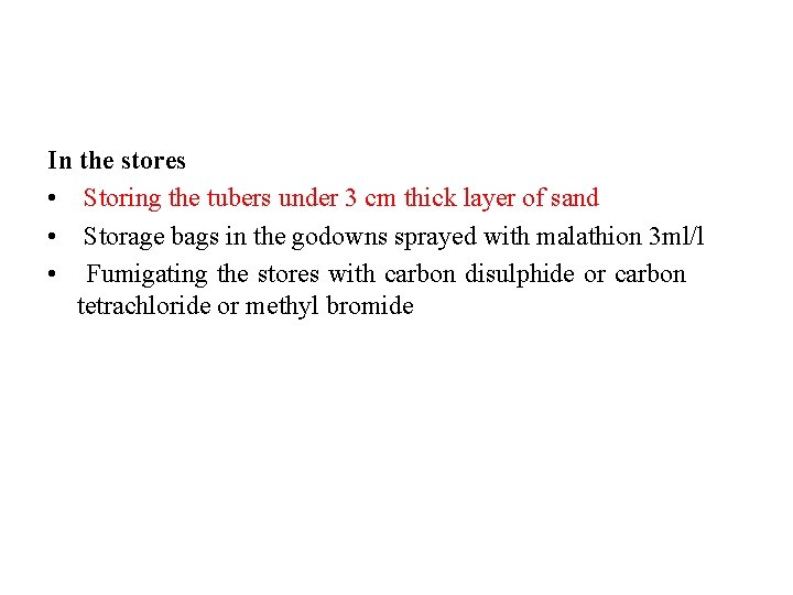 In the stores • Storing the tubers under 3 cm thick layer of sand