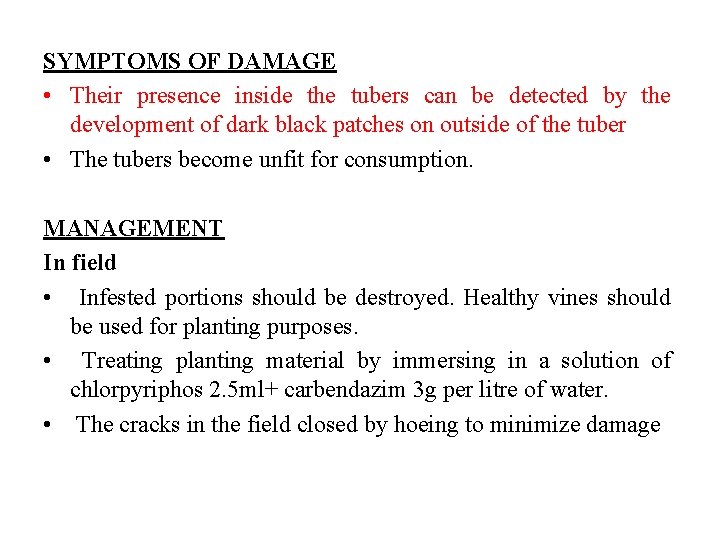 SYMPTOMS OF DAMAGE • Their presence inside the tubers can be detected by the