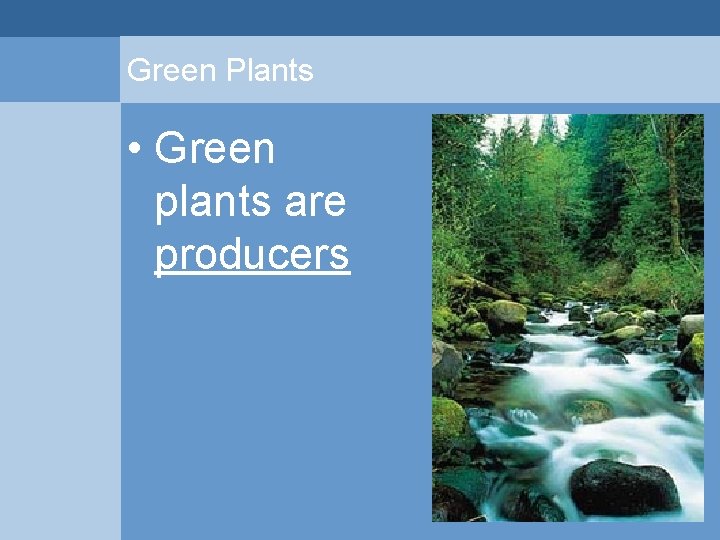 Green Plants • Green plants are producers  Green Plants • Green plants are producers