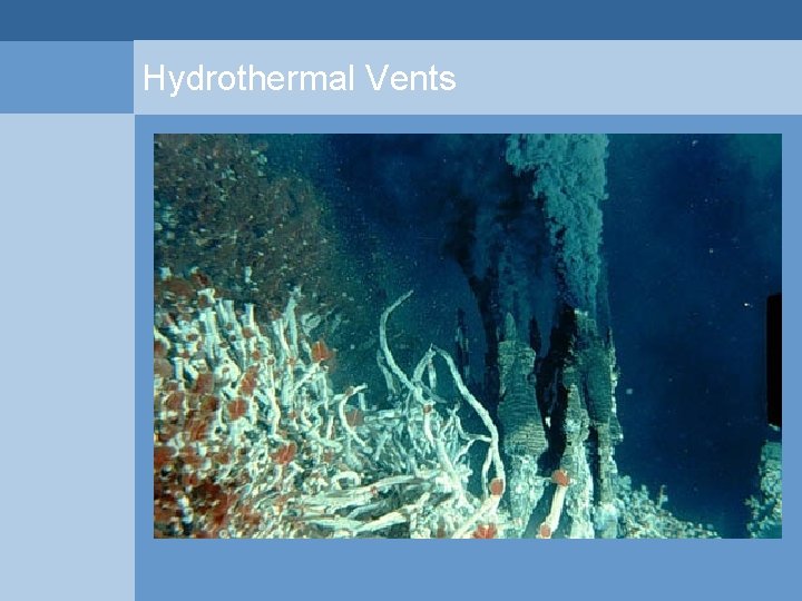 Hydrothermal Vents  Hydrothermal Vents