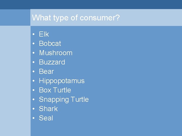 What type of consumer? • • • Elk Bobcat Mushroom Buzzard Bear Hippopotamus Box What type of consumer? • • • Elk Bobcat Mushroom Buzzard Bear Hippopotamus Box