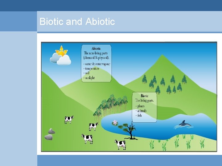 Biotic and Abiotic  Biotic and Abiotic