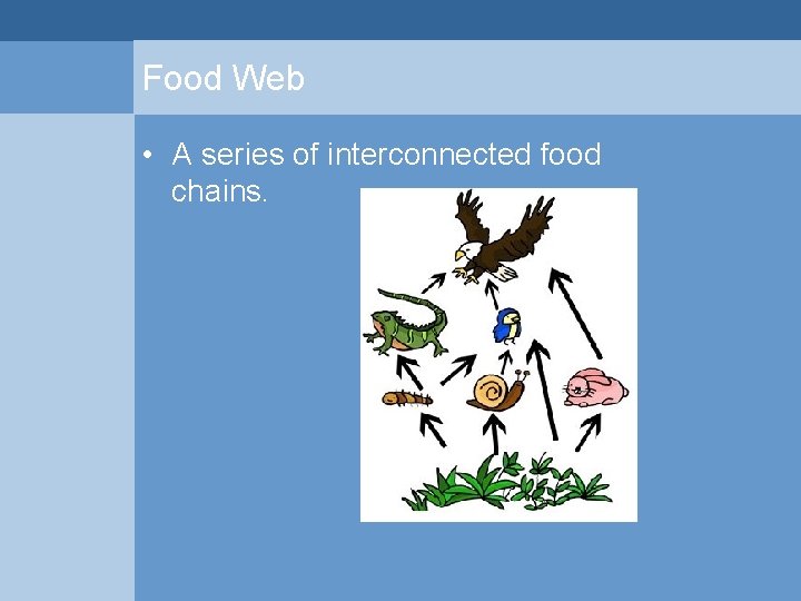 Food Web • A series of interconnected food chains.  Food Web • A series of interconnected food chains.