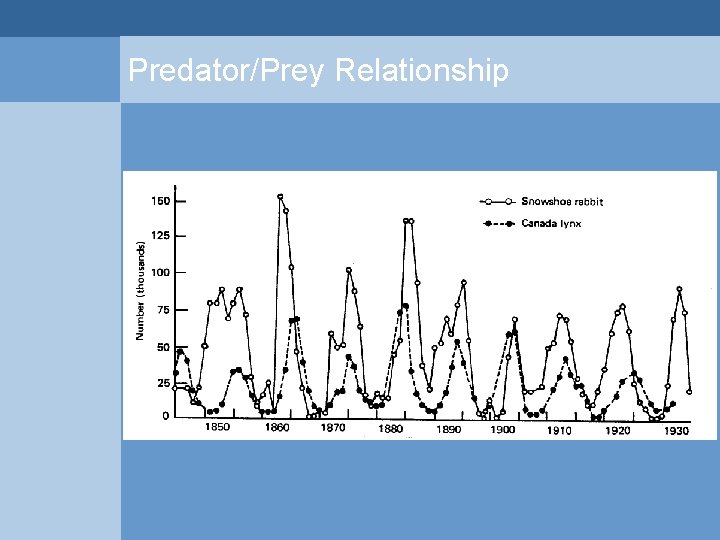 Predator/Prey Relationship  Predator/Prey Relationship
