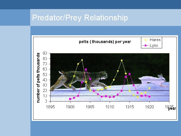 Predator/Prey Relationship  Predator/Prey Relationship