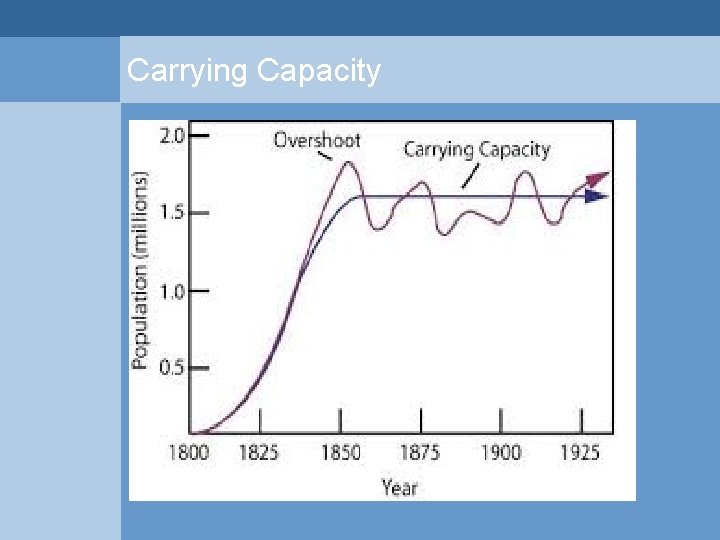Carrying Capacity  Carrying Capacity