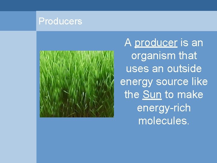 Producers A producer is an organism that uses an outside energy source like the Producers A producer is an organism that uses an outside energy source like the