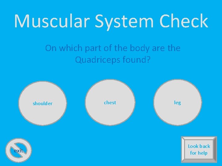 Muscular System Check On which part of the body are the Quadriceps found? shoulder
