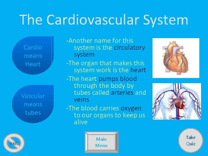 The Cardiovascular System Cardio means Heart Vascular means tubes exit -Another name for this