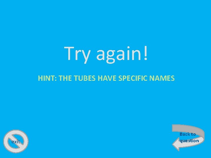 Try again! HINT: THE TUBES HAVE SPECIFIC NAMES exit Back to question 