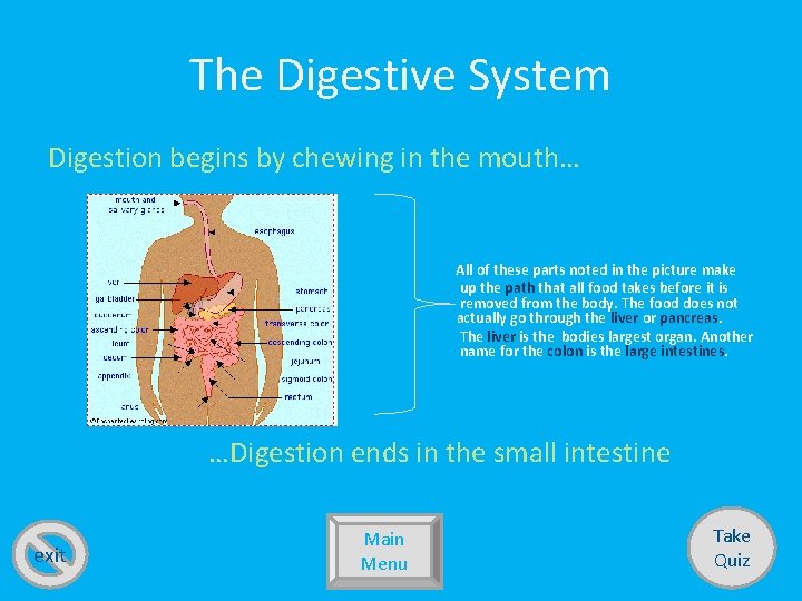 The Digestive System Digestion begins by chewing in the mouth… All of these parts