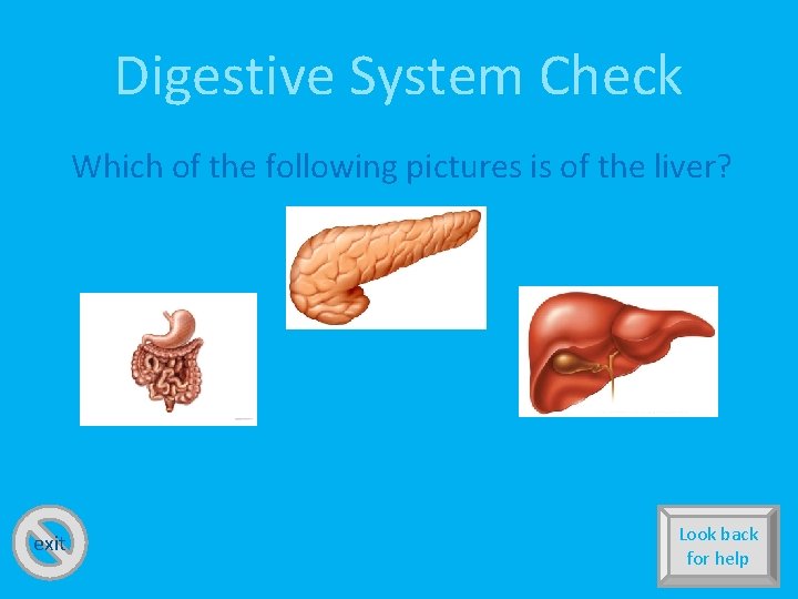 Digestive System Check Which of the following pictures is of the liver? exit Look
