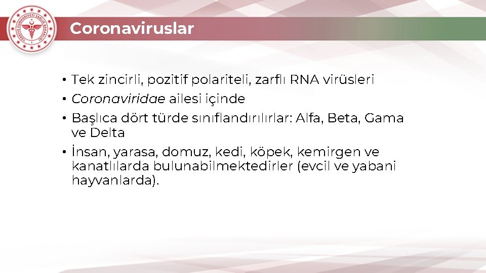 Coronaviruslar • Tek zincirli, pozitif polariteli, zarflı RNA virüsleri • Coronaviridae ailesi içinde •