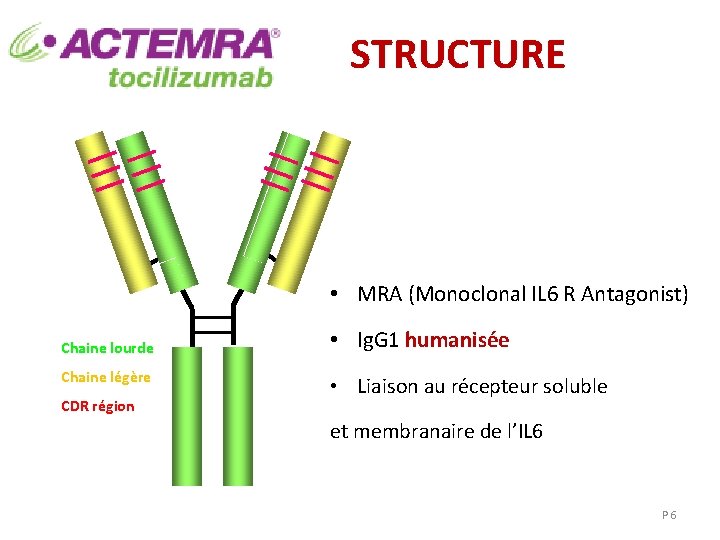 STRUCTURE • MRA (Monoclonal IL 6 R Antagonist) Chaine lourde Chaine légère CDR région