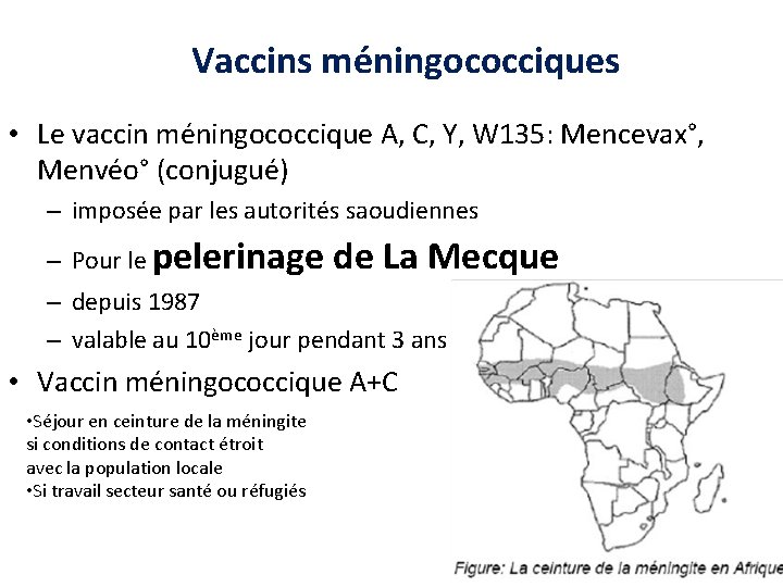 Vaccins méningococciques • Le vaccin méningococcique A, C, Y, W 135: Mencevax°, Menvéo° (conjugué)