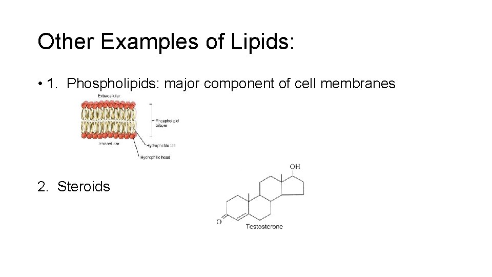 Other Examples of Lipids: • 1. Phospholipids: major component of cell membranes 2. Steroids