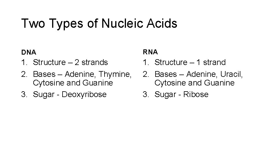 Two Types of Nucleic Acids DNA RNA 1. Structure – 2 strands 2. Bases