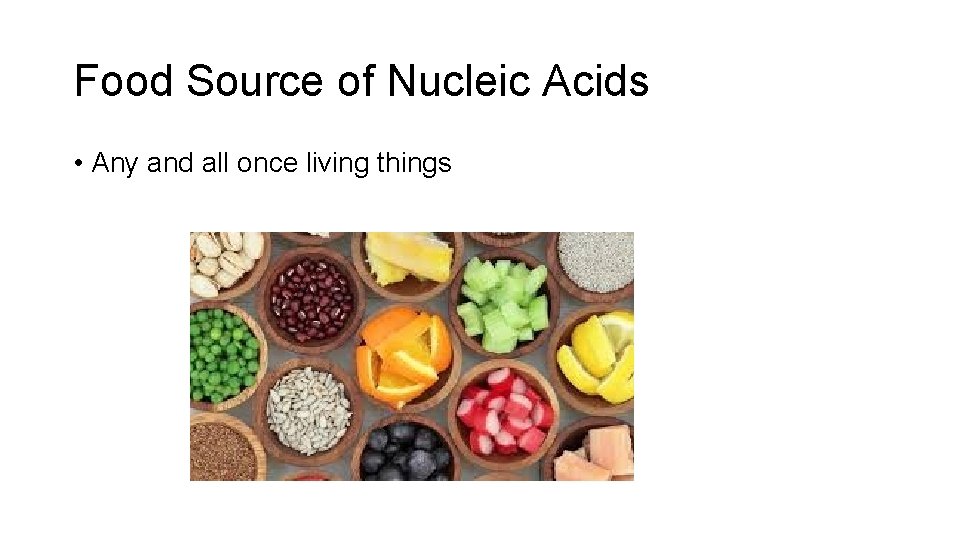 Food Source of Nucleic Acids • Any and all once living things 