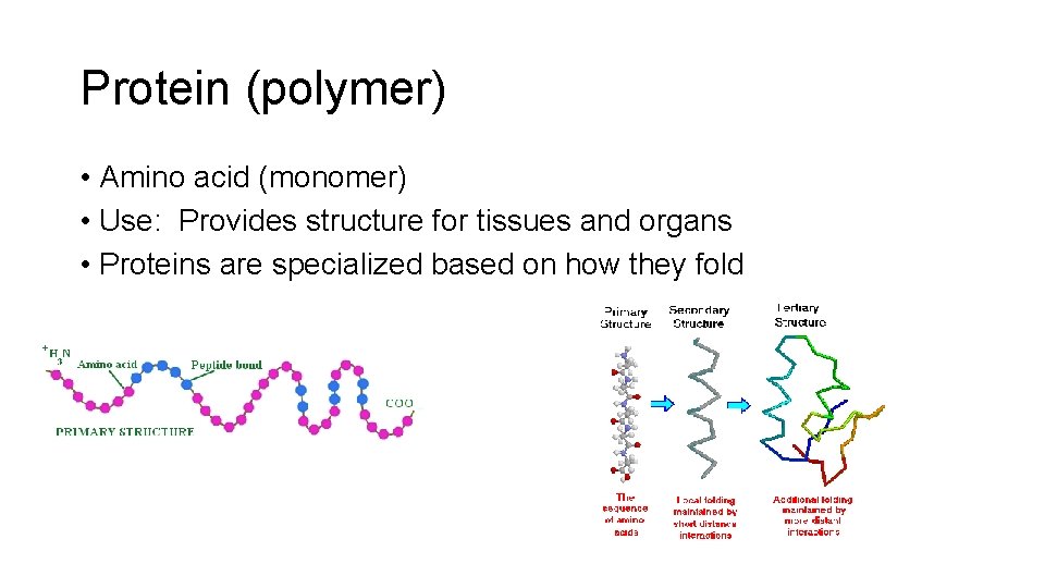 Protein (polymer) • Amino acid (monomer) • Use: Provides structure for tissues and organs