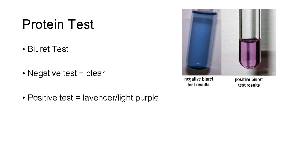 Protein Test • Biuret Test • Negative test = clear • Positive test =