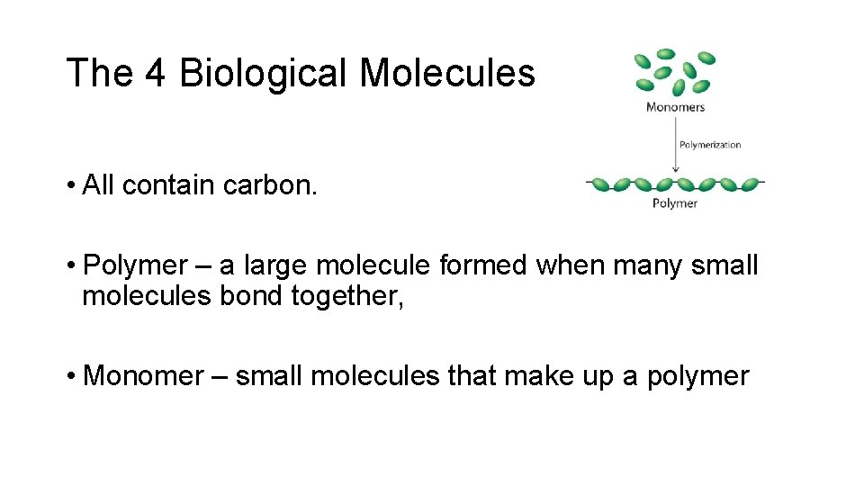 The 4 Biological Molecules • All contain carbon. • Polymer – a large molecule