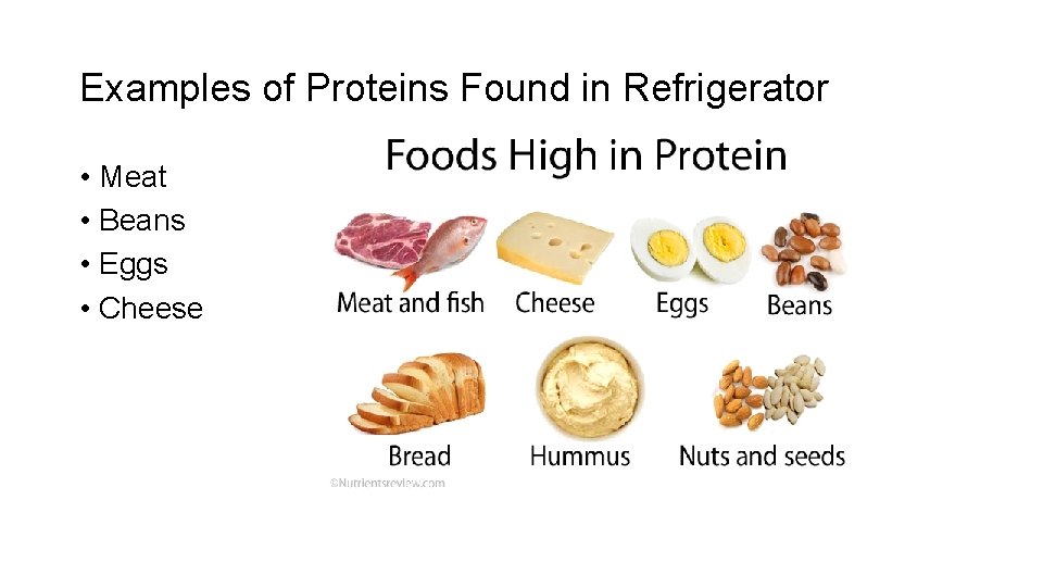 Examples of Proteins Found in Refrigerator • Meat • Beans • Eggs • Cheese