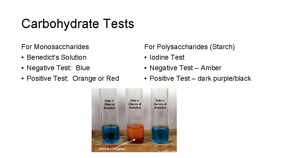 Carbohydrate Tests For Monosaccharides • Benedict’s Solution • Negative Test: Blue • Positive Test: