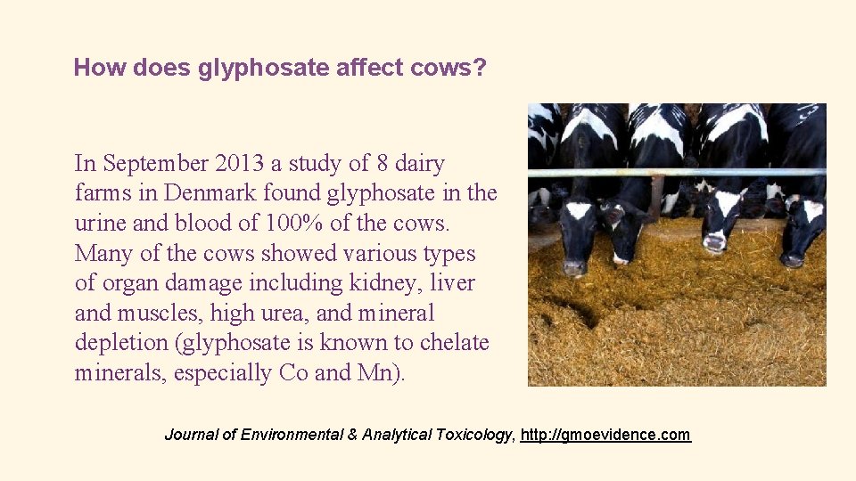 How does glyphosate affect cows? In September 2013 a study of 8 dairy farms