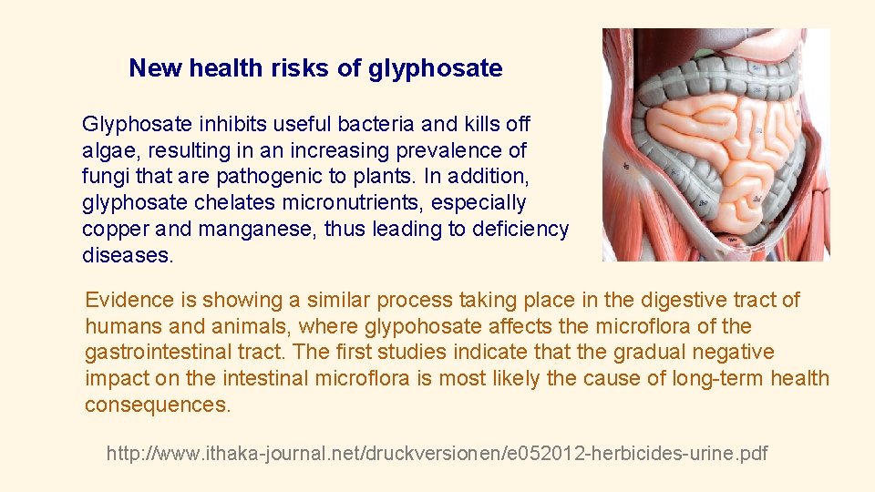 New health risks of glyphosate Glyphosate inhibits useful bacteria and kills off algae, resulting