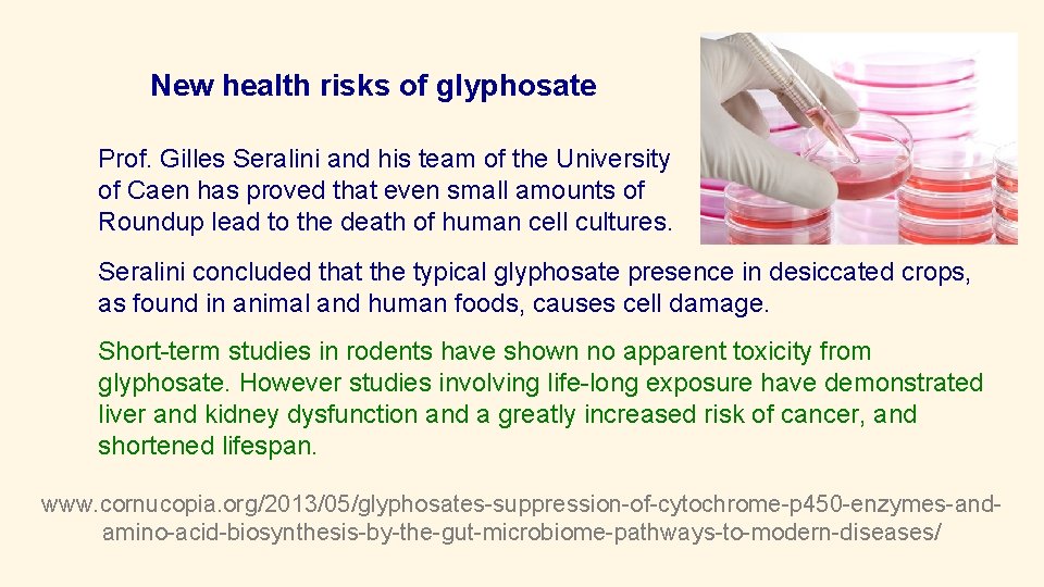 New health risks of glyphosate Prof. Gilles Seralini and his team of the University