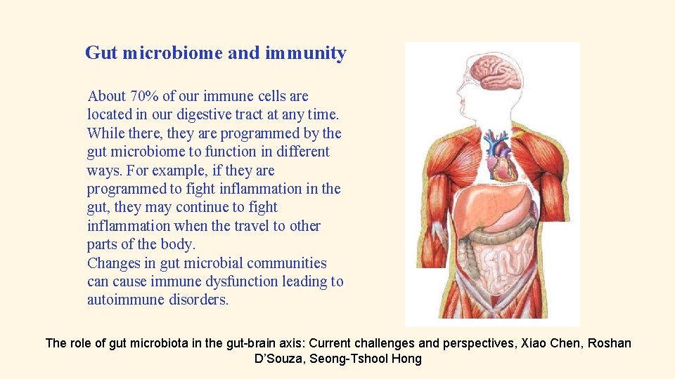 Gut microbiome and immunity About 70% of our immune cells are located in our