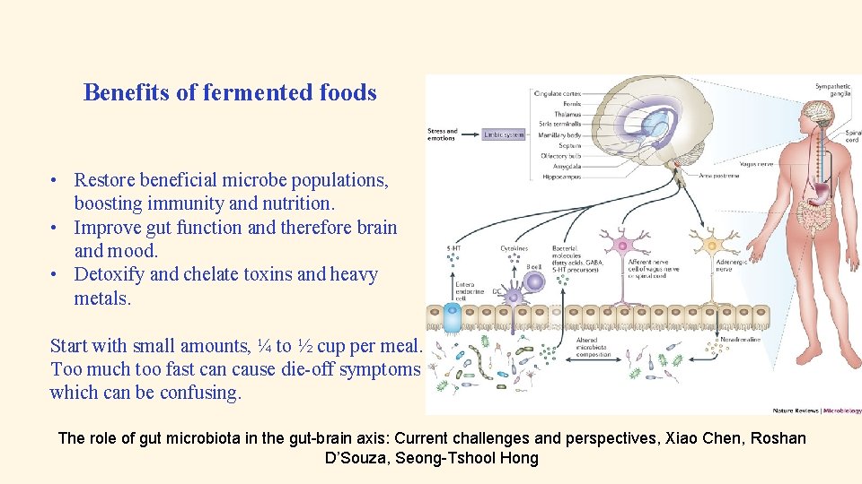 Benefits of fermented foods • Restore beneficial microbe populations, boosting immunity and nutrition. •