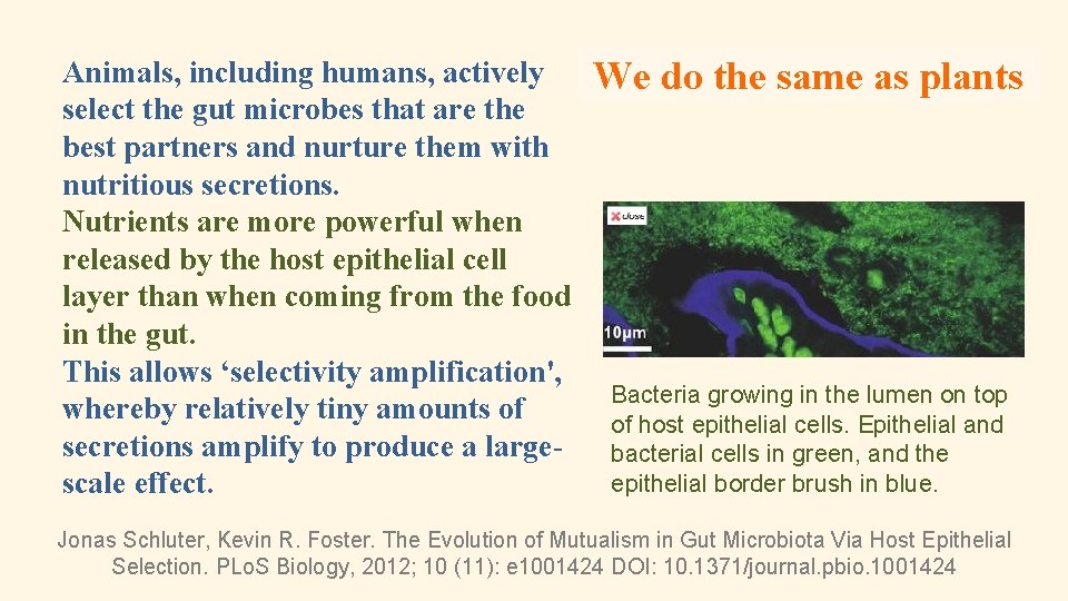 Animals, including humans, actively select the gut microbes that are the best partners and