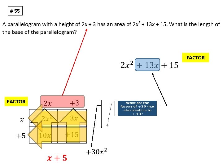 # 55 FACTOR FACTOR 