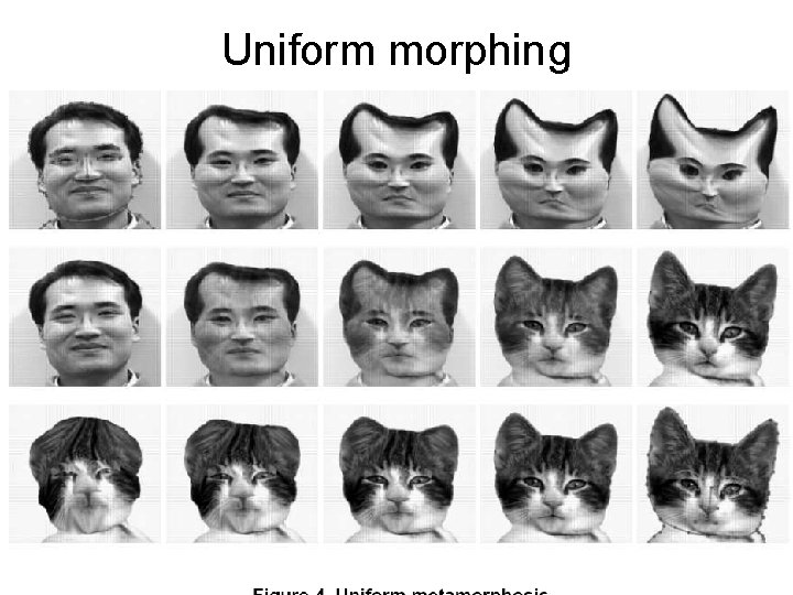 Uniform morphing 