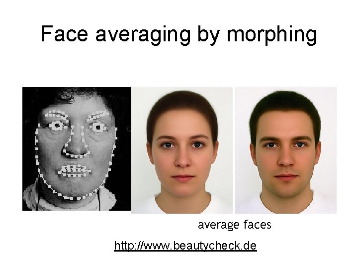 Face averaging by morphing average faces http: //www. beautycheck. de 