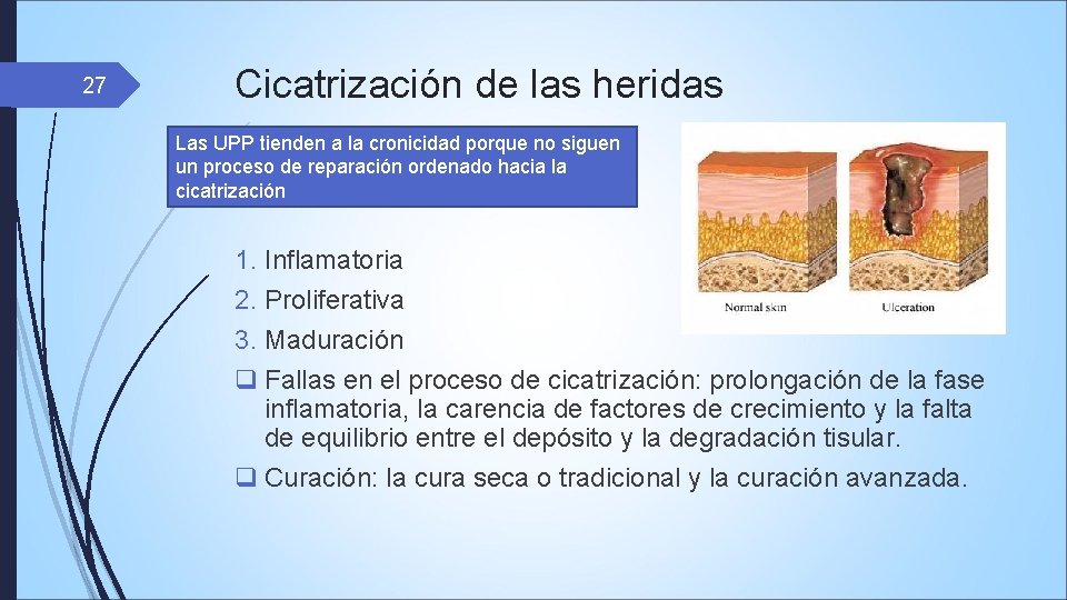 27 Cicatrización de las heridas Las UPP tienden a la cronicidad porque no siguen