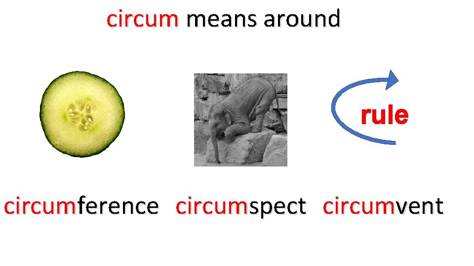 circum means around rule circumference circumspect circumvent 